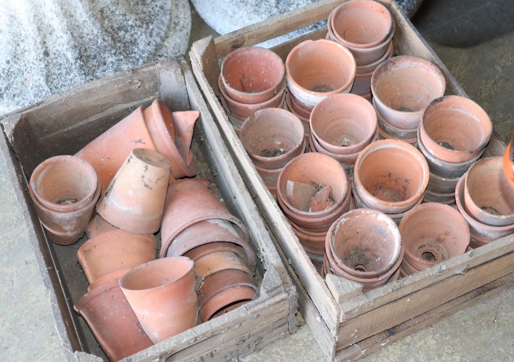 A large quantity of early 20th century and later terracotta pots in London market wood crates